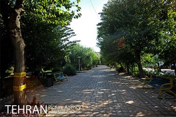 بوستان هنرمندان (ایرانشهر) 12