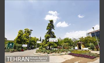 بوستان میعاد 1