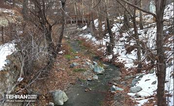 بازدید نخبگان منطقه ۵ از پروژه‌های عمرانی 12