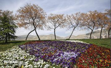 و اینک بهار 20