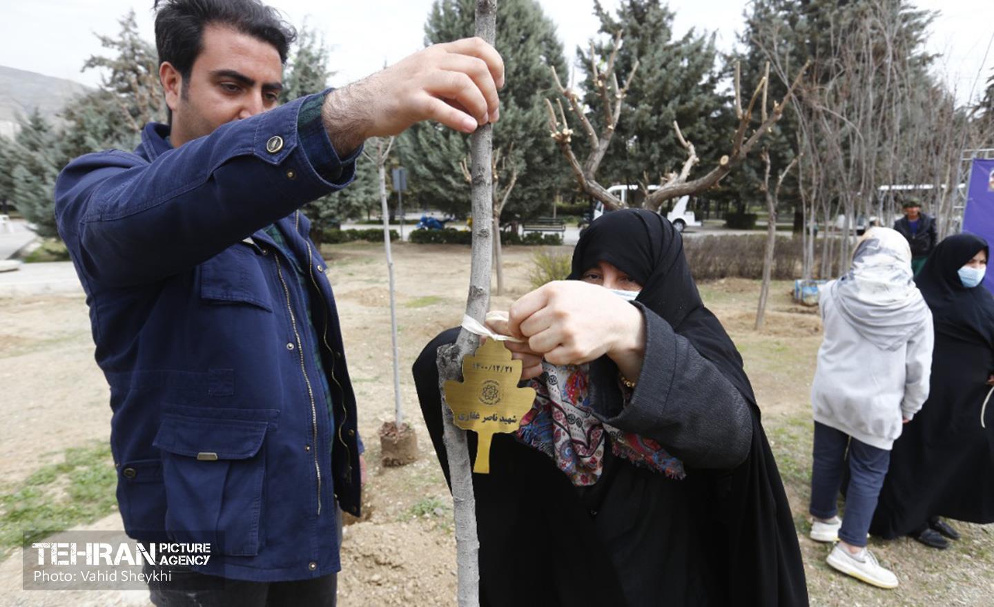 غرس ١٠٠ اصله نهال در دریاچه شهدای خلیج فارس با حضور خانواده شهدای هم محله‌ای 11