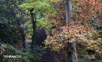 طبیعت پاییزی مجموعه فرهنگی تاریخی سعدآباد  33