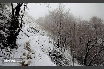 بارش برف زمستانی در تهران 21