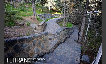 بوستان جمشیدیه (باغ سنگی جمشیدیه) 37