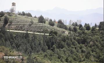 روز طبیعت در پارک جنگلی لویزان 22