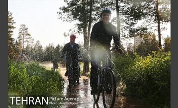 بازدید پیروز حناچی شهردار تهران از بوستان جنگلی چیتگر تا دریاچه شهدای خلیج فارس 14