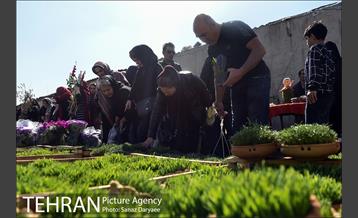 بازار گل شهید محلاتی در آستانه نوروز 41