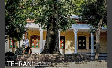 شهرنگار؛ محله قیطریه 8