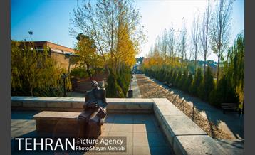 پاییز باغ موزه قصر 29