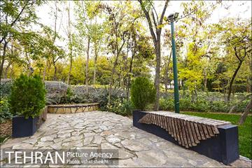 طبیعت پاییزی بوستان فدک 12