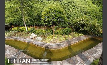 بوستان نهج البلاغه در یک روز بارانی 31