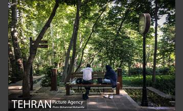 شهرنگار؛ باغ ایرانی 3