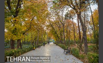 پاییز پارک شهر 10