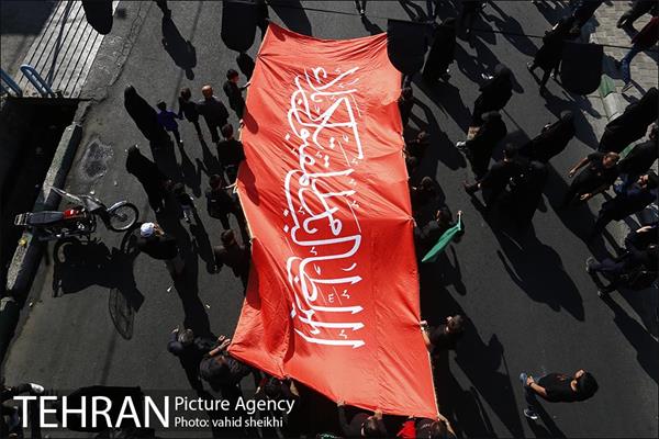 پیاده روی جامندگان اربعین حسینی (ع) در تهران 33