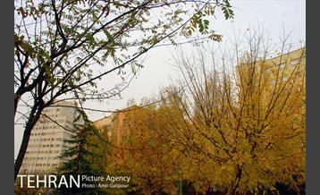 بوستان پارسیان 7