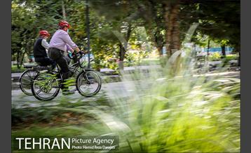 پویش سه شنبه های بدون خودرو 8