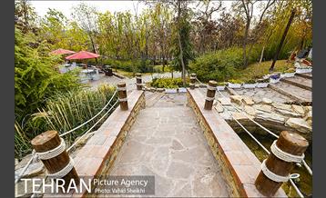 باغ راه فدک 19