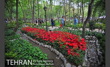 باغ ایرانی (بوستان مهندس مختاری) 29
