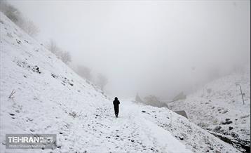 بارش برف زمستانی در تهران 32