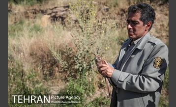 آزادسازی پرندگان و جمع آوری زباله در پارک جنگلی خجیر 24