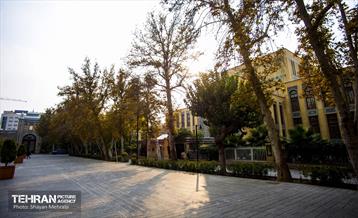 پاییز میدان مشق 8