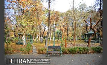 پاییز در پارک شهر 19