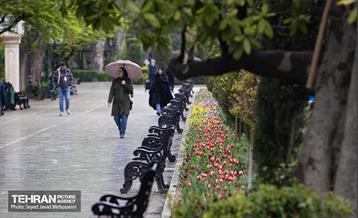 تیتر هوای بهاری تهران 24