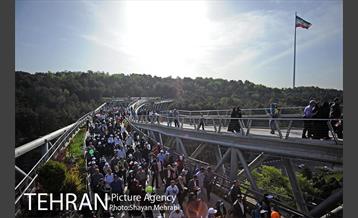 همایش پیاده روی خانوادگی کارکنان شهرداری 16