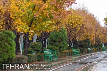 پاییز در بوستان المهدی(عج) 28