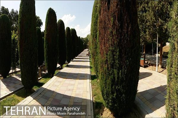 بوستان های خیابان ولیعصر 27