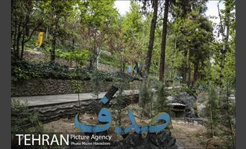 بوستان ساعی 5