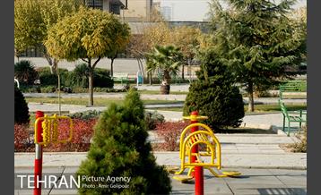 بوستان بنفشه 10