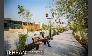 شهرنگار؛ باغ هنر 11