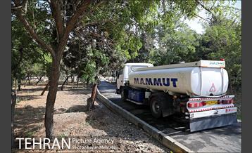 افتتاح طرح کاپ و پروژه هاى زیست محیطى منطقه 16 24