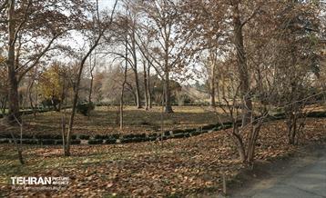 بازدید گروه های دوام مناطق از باغ گیاه شناسی ملی 19