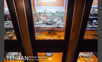 موزه علوم زمین 10