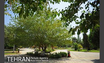 بوستان بسیج 43