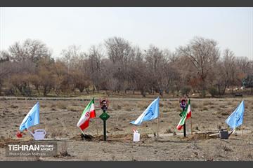 نکوداشت روز درخت‌کاری با حضور رئیس جمهور