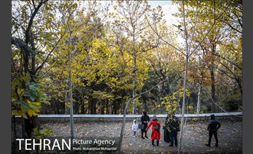 هوای پاک تهران 5