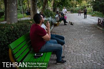 فیلتر سیگار زباله است 27