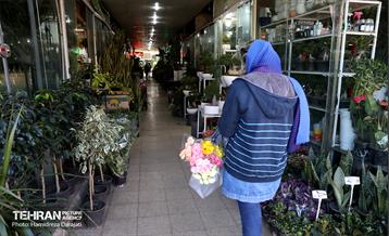 بازار گل محلاتی  9