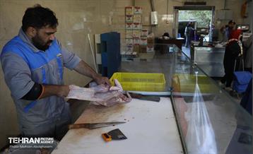 تره‌بار یلدایی 41