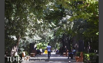 بوستان قیطریه 17