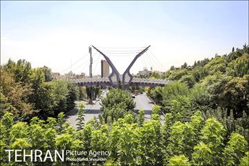 تنفس طبیعت زیبای منطقه ۷ در روزهای حضور کمرنگ شهروندان 19