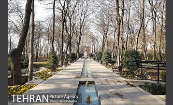 باغ ایرانی 6