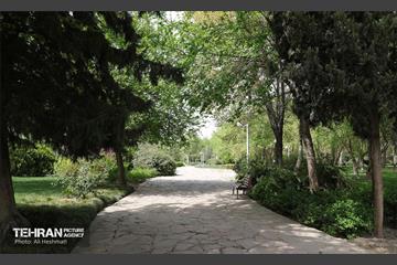 بوستان بانوان نرگس 17