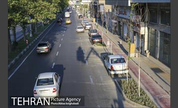 پارک خودرو‌ بین درختان چنار 19