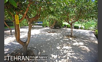 بوستان بسیج 20