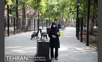 طرح پاکسازی پارک شهر تهران از فیلترهای سیگار  27