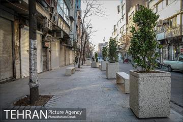 باز پیرایی خیابان 50 ساله 17